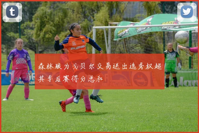 森林狼为戈贝尔交易送出选秀权超其季后赛得分总和